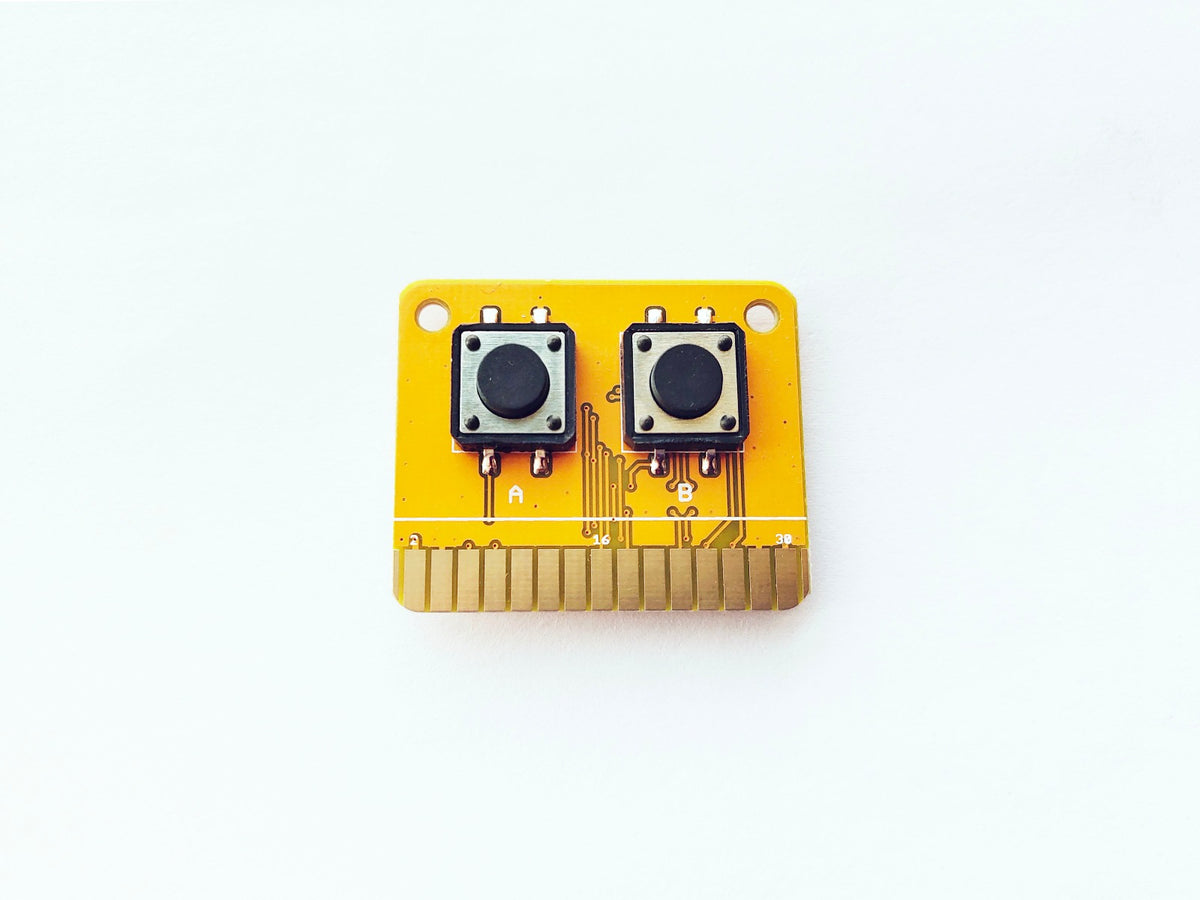 Button Input Card