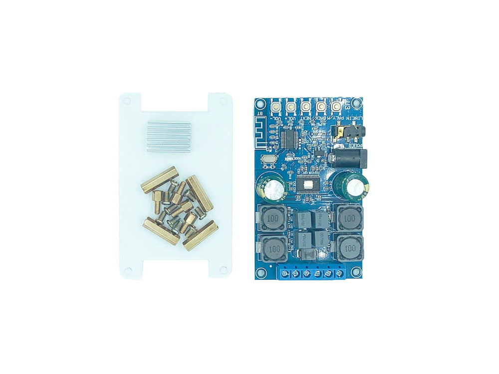 Dual-Channel Bluetooth/LINE IN Digital Amplifier with Shell