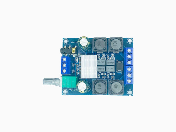 TPS3116D2 High-Power Digital Power Amplifier Module