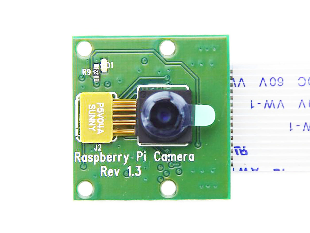 Raspberry Pi Camera Module
